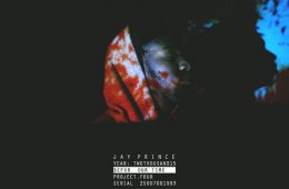 Artwork for Jay Prince