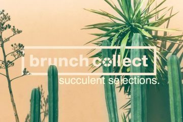 artwork for Bruch collect's compilation