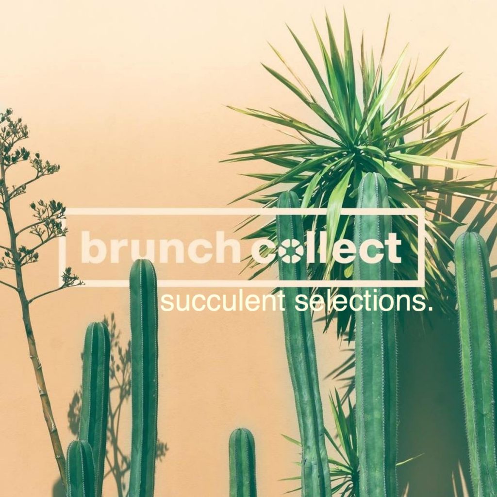 artwork for Bruch collect's compilation