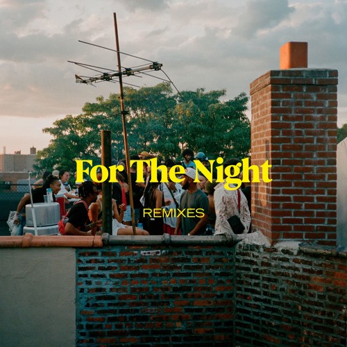 artwork for SIROJ's single For The Night