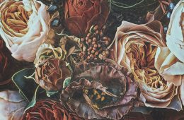 B-Side - Rosebuds (Album Stream)