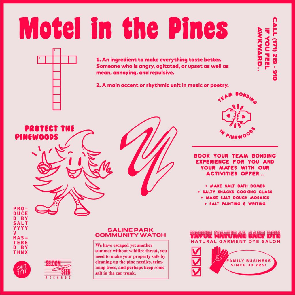 Saltyyyy V - Motel In The Pines EP Stream