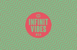 infinit vibes 14 a guest-mix by melle