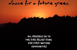 Beats Of No Nation pres. Dance For A Future Green