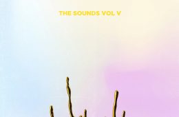 invdrs the sounds vol v compilation