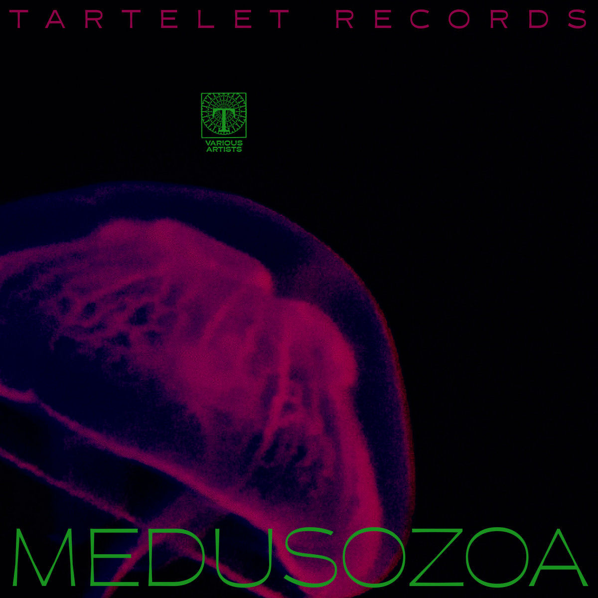 Tartelet Records presents "Medusozoa" w/ Space Ghost, Henry Wu, Tito Wun, Max Graef & more