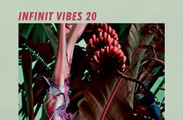 INFINIT VIBES 20 - A guest-mix by Jenni Yo & Miss Control