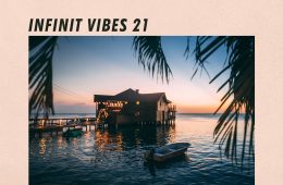 INFINIT VIBES 21 - A guest-mix by BORAE