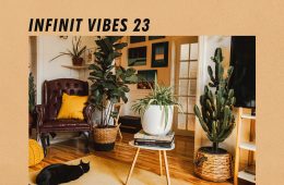 INFINIT VIBES 23 - A guest-mix by KLS.RDR